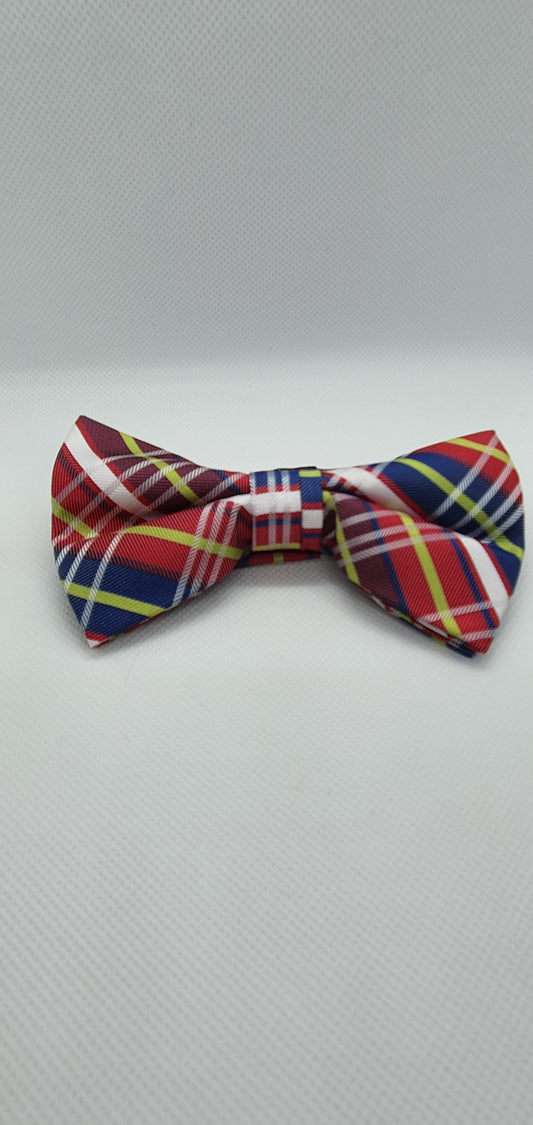 Corbatín de colores - Socksn'Ties