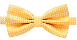 Corbatín naranja - Socksn'Ties