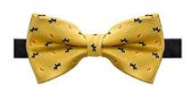 AUSKY Elegant Adjustable Pre-tied bow ties for Men in Yellow - Socksn'Ties