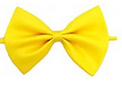 Glittermall Yellow Adjustable Boys Kids Bow Tie - Socksn'Ties