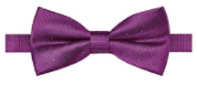 AUSKY Elegant Adjustable Pre-tied bow ties for Men. - Socksn'Ties